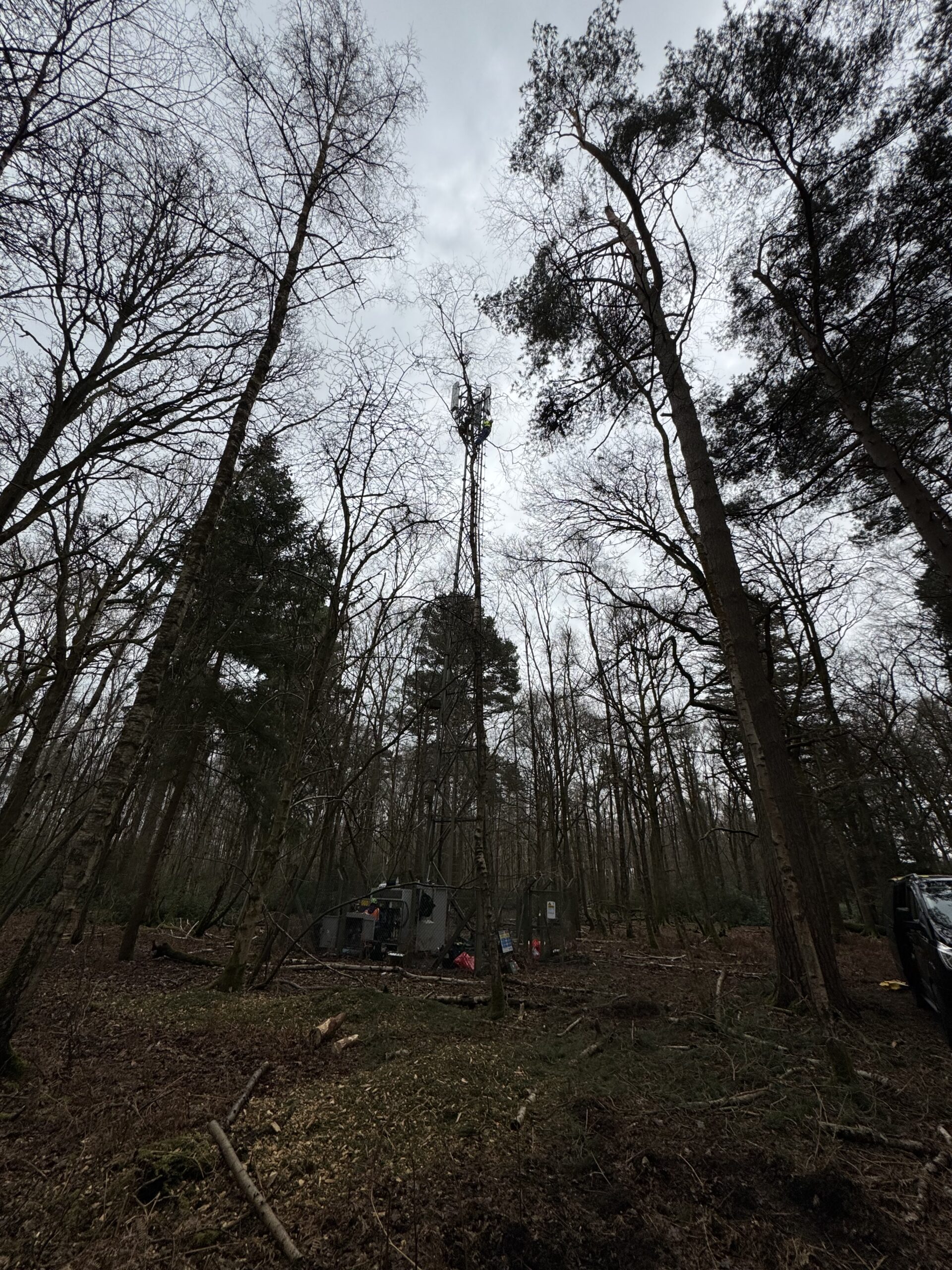 Site work on Endor